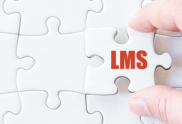 Person holds puzzle piece that says "LMS"
