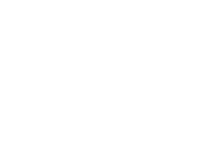 icon for single sign on