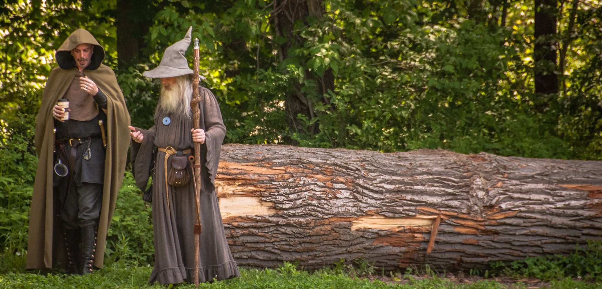 Read more about the article Gandalfing as a Pedagogy